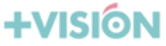 + Vision